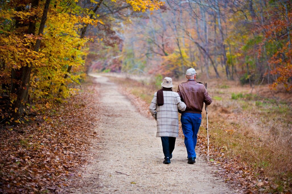 enjoy autumn